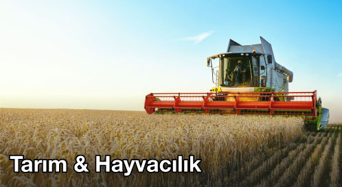 tarim-ve-hayvancilik